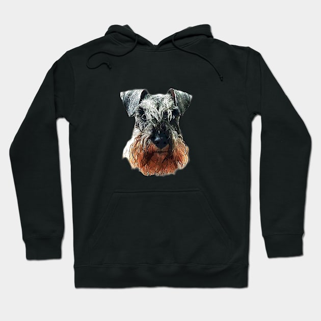 Mini Schnauzer Cute Salt and Pepper Face Hoodie by ElegantCat